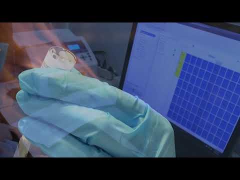 Governor Hochul Boosters