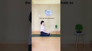 Stress Antidote #stress #mentalhealth #yoga #breathwork