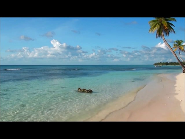 Download Rei do Mar Djavan