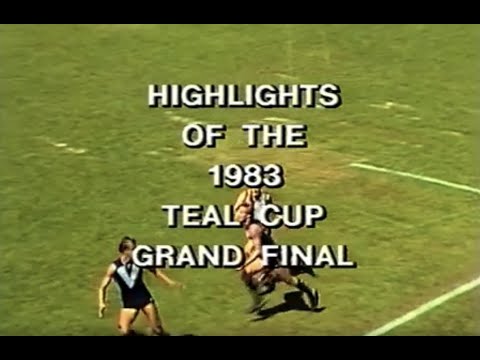 1983 Teal Cup - Victoria vs South Australia.  ABC Broadcast