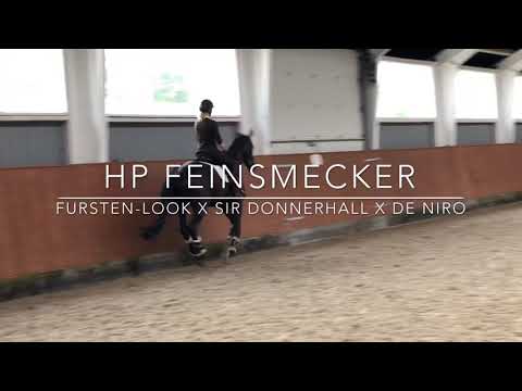 4 års vallak HP Feinsmecker