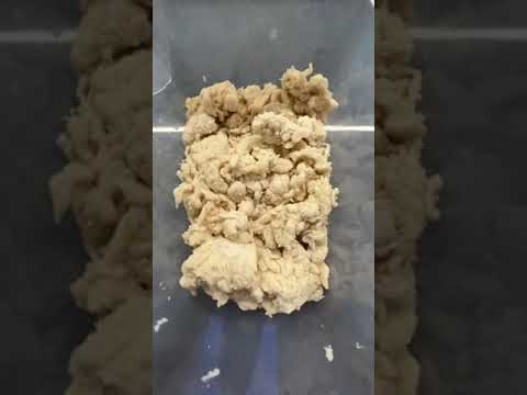 Biga pizza - best 5 tips to prepare biga for pizza