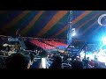 American Circus 3