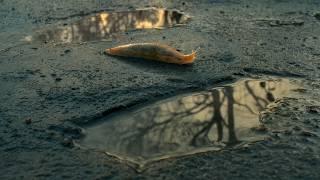 Wealthsimple Plans | Wealthsimple