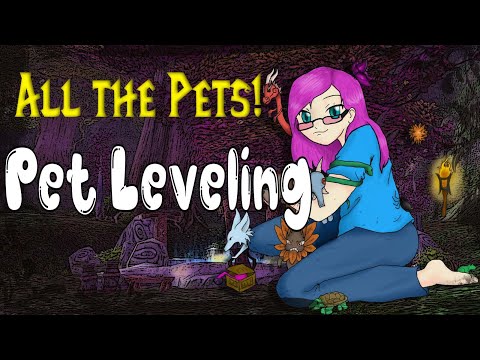 3 Ways to Start Leveling Pets in BFA 8.3