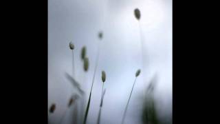 Peter Broderick - Floating / Sinking