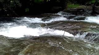 preview picture of video 'അമരാട് വള്ളച്ചാട്ടം   Amarad water falls'