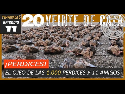 🟤T5|E11. EL OJEO DE CAZA DE LAS MIL PERDICES EN TOLEDO CON GORKA SERBAL Y SUS ESCOPETAS BENELLI