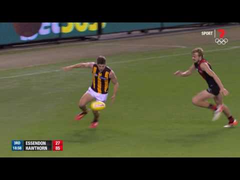 Round 12 AFL - Essendon v Hawthorn Highlights