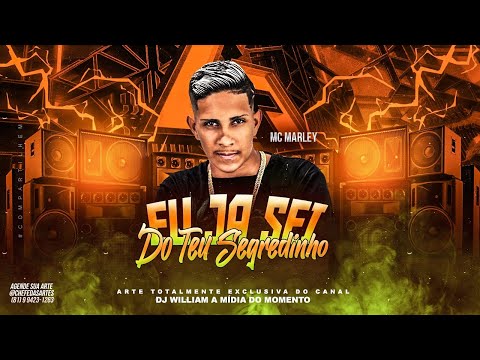 EU JÁ SEI DO TEU SEGREDINHO - MC MARLEY - REMIX BREGA FUNK