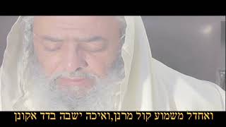 תשעה באב --- קינות  מתקרבים לגאולה       הרב רוני בוסי  יצ "ו (הרב רוני בוסי) - התמונה מוצגת ישירות מתוך אתר האינטרנט יוטיוב. זכויות היוצרים בתמונה שייכות ליוצרה. קישור קרדיט למקור התוכן נמצא בתוך דף הסרטון