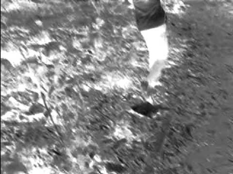 Den dødelig kamp på bakken av bambus