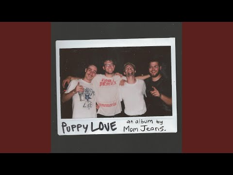 you can't eat cats kevin