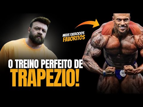 2 EXERCISES THAT WILL CHANGE YOUR TRAPEZIUS *sets and repetitions*