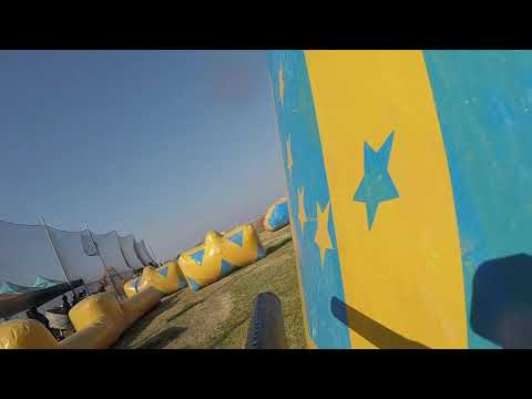 PDL5 / Poison Templars Pb Casta