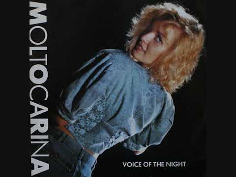 Video thumbnail for Voice of the Night (Extended Version)