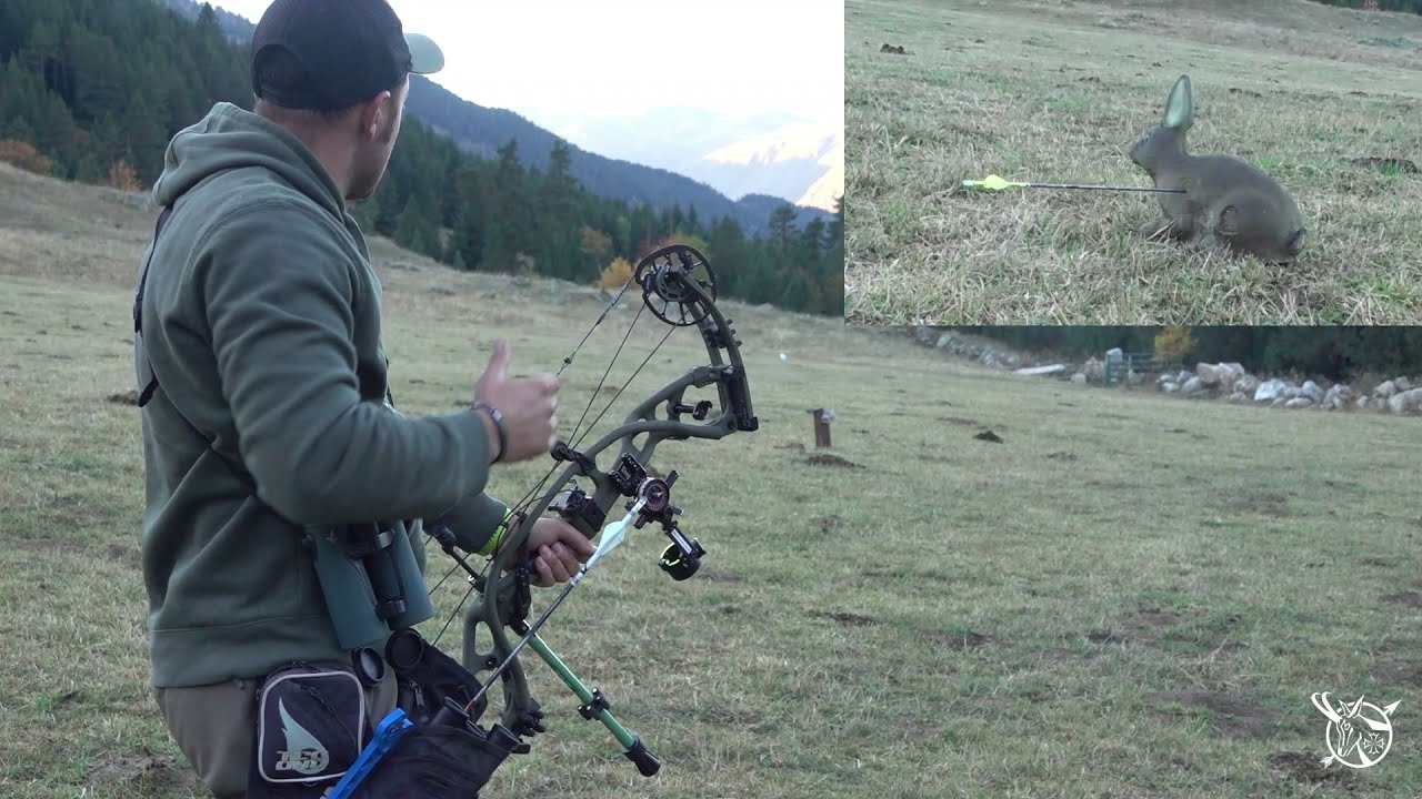 Entreno psicológico para tiros a media/larga distancia en la caza con arco.