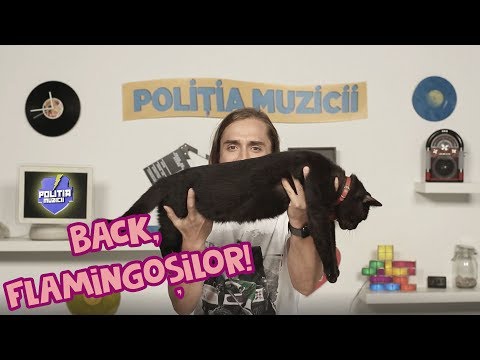 Politia Muzicii:  L.A Gang - Los Amigos, SHIFT - Nu Ma Intorc, abi - papuci Gucci