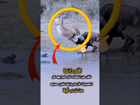 تظل الأم دوما على أستعدادت تامة لامواجهه كل التحديات🤗😰😱😨🥹☝️👍🙏⚘️⚘️#shortvideo#song#shorts#
