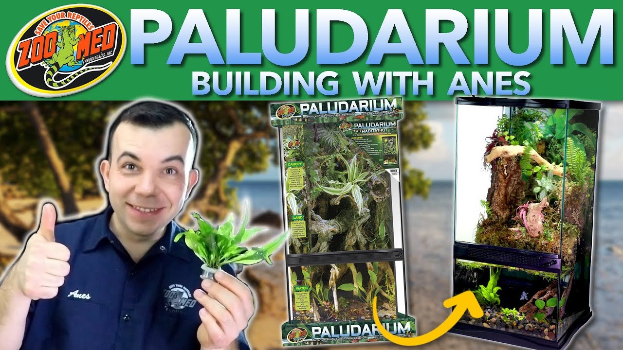 Zoo Med Paludarium Habitat Build w/ Anes Hotic