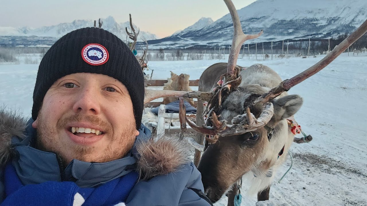 Experience Reindeer Sledding adventure virtually.