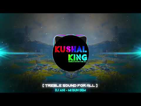 DJ ANI x BADCHARGIE - Mi Bun Dem