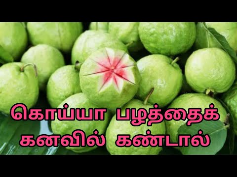 If you see guava in your dream | koiya palathai kanavil kandal | guava in dream | Anita's clips