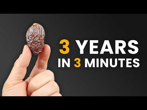 I planted a Date Palm Seed and filmed it for 3 years