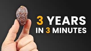 I planted a Date Palm Seed and filmed it for 3 years