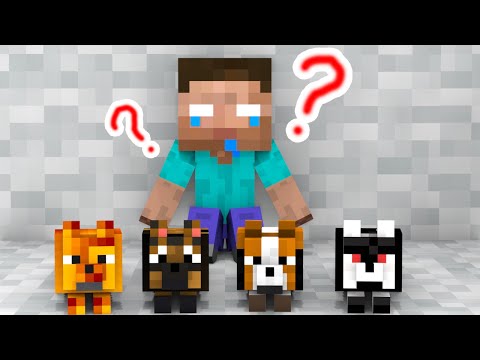 Baby Herobrine, Where is Your Dog? - Minecraft Animation