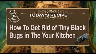 How To Get Rid of Tiny Black Bugs in The Your Kitchen - How to cook like a Pro - Recipes and Advice