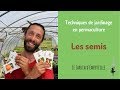 Techniques de jardinage en permaculture : les semis