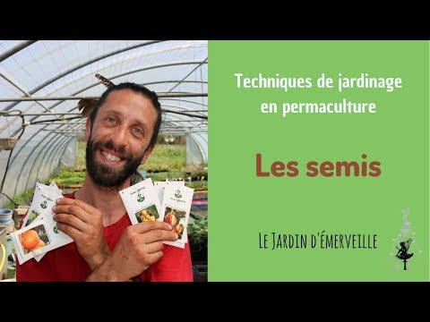 download lagu mp3 mp4 Le Jardin Des Merveilles, download lagu Le Jardin Des Merveilles gratis, unduh video klip Le Jardin Des Merveilles