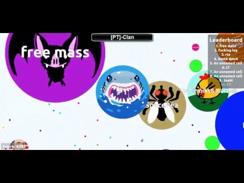 TOP 5 AGAR.IO SKINS!! PT-Clan #1