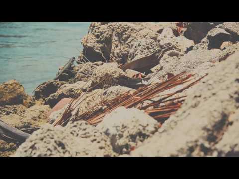 High End Trapping - D blanco x Slidelife