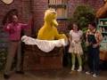 Mad Tv Bird Flu Sesame Street