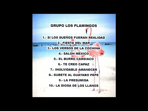 Grupo Los Flamingos - Los Versos de la Cochina