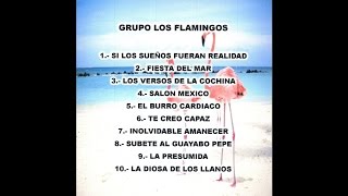 Grupo Los Flamingos - Los Versos de la Cochina