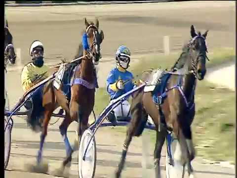 Trotto 11/02/2018 - 1ª corsa