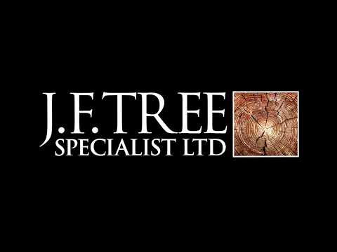 JF Tree Specialist Ltd. video.