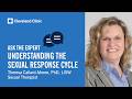 What Is The Sexual Response Cycle