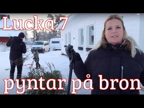 Julkalender 2021 - Lucka 7