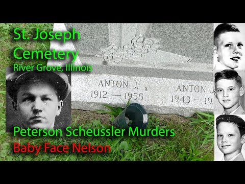 Watch YouTube video titled Horse Syndicate Part 2 of 3 - The Peterson / Schuessler Tragedy