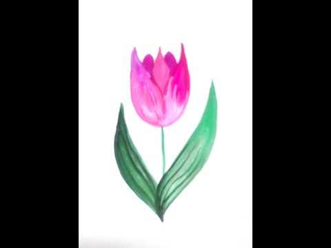 Tulip flower with gouache paint   lulwalovesart