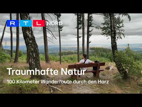 Wandern im Harz: Die schönsten Routen und besten Tipps