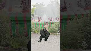 Download lagu oppa Gangnam style, #viral👍❤️❤️ mp3 Download lagu oppa Gangnam style, #viral👍❤️❤️ mp3