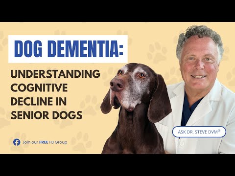 Dog Dementia Explained: Natural Ways to Help Without Drugs