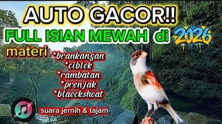 Download lagu BIKIN KENARI MAKIN GACOR‼️ masteran kenari full isian mewah - terbaru 2026 mp3