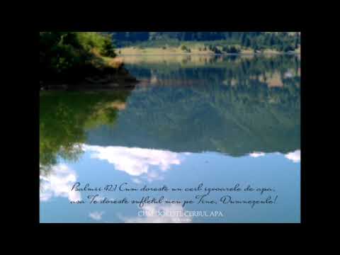 Cum doreste cerbul apa - Ilie A Negru