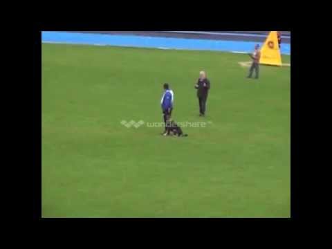 WUSV 2014 Caribou vox Meinerz B